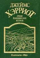 Обложка - предпросмотр