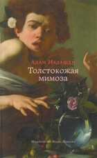 Обложка - предпросмотр