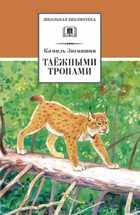 Обложка - предпросмотр