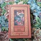 Книга - предпросмотр