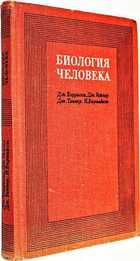 фото - предпросмотр