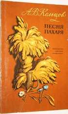 фото - предпросмотр
