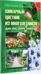 фото - предпросмотр