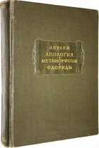 фото - предпросмотр
