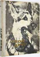 фото - предпросмотр