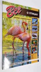 Фото - предпросмотр