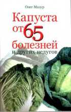 Обложка - предпросмотр