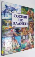 Фото - предпросмотр