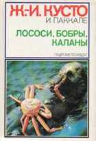 Обложка - предпросмотр