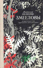 Обложка - предпросмотр