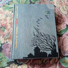 Книга - предпросмотр