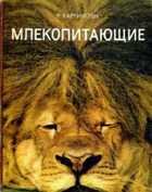 Обложка - предпросмотр