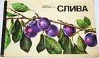 фото - предпросмотр