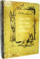 фото - предпросмотр