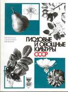 Обложка - предпросмотр