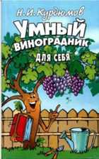 Обложка - предпросмотр