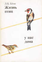 Обложка - предпросмотр