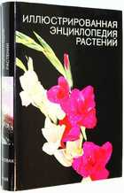 фото - предпросмотр