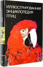 фото - предпросмотр
