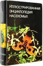 фото - предпросмотр
