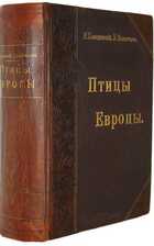 фото - предпросмотр