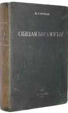 фото - предпросмотр