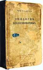 фото - предпросмотр