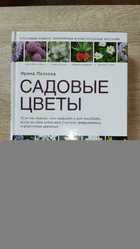 фото - предпросмотр