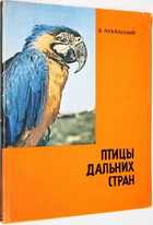 фото - предпросмотр