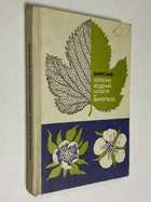 Фото - предпросмотр