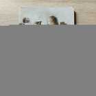 фото - предпросмотр