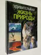 Фото - предпросмотр