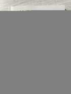 фото - предпросмотр