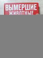 фото - предпросмотр