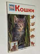 Фото - предпросмотр