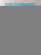 фото - предпросмотр