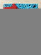 фото - предпросмотр