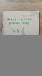 фото - предпросмотр