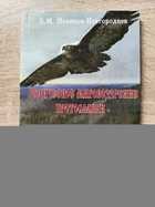 фото - предпросмотр