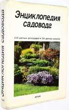 фото - предпросмотр