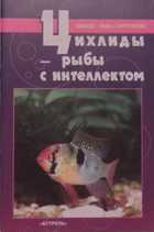 Обложка - предпросмотр