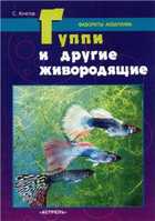 Обложка - предпросмотр