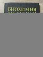 фото - предпросмотр