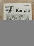 фото - предпросмотр