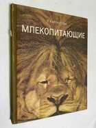 Фото - предпросмотр