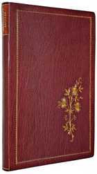 фото - предпросмотр