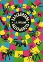 Обложка - предпросмотр