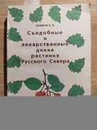 фото - предпросмотр