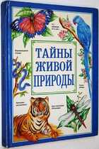 фото - предпросмотр