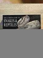 фото - предпросмотр